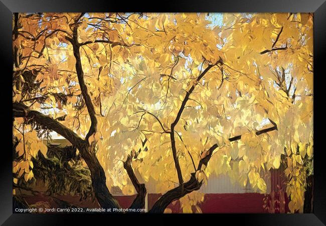 Yellow Autumn Leaves - CR2211-8260-ABS Framed Print by Jordi Carrio