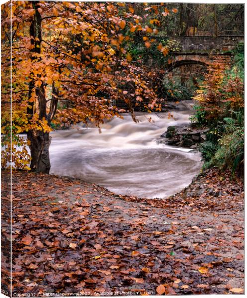 The May Beck River In The North Yorkshire Moor In Autumn Canvas Print by Peter Greenway