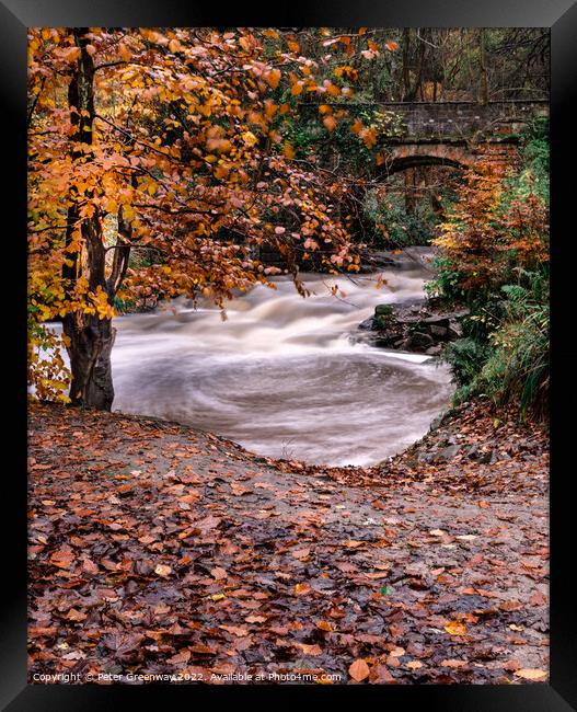 The May Beck River In The North Yorkshire Moor In Autumn Framed Print by Peter Greenway