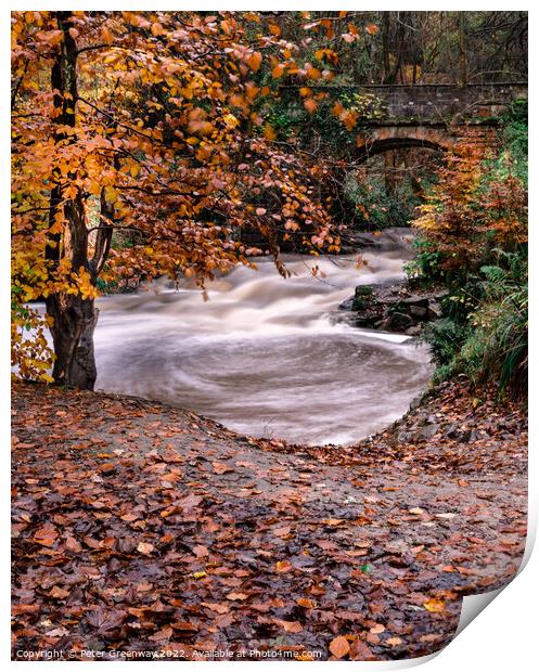 The May Beck River In The North Yorkshire Moor In Autumn Print by Peter Greenway