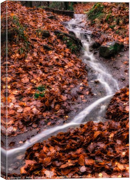 A Little Waterfall On The May Beck River In The North Yorkshire Moor In Autumn Canvas Print by Peter Greenway