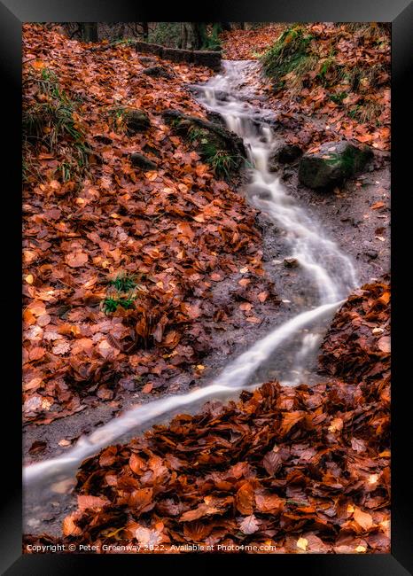 A Little Waterfall On The May Beck River In The North Yorkshire Moor In Autumn Framed Print by Peter Greenway