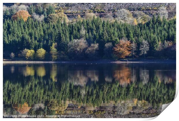 Reflections in Pontsticill Reservoir  Print by  Garbauske