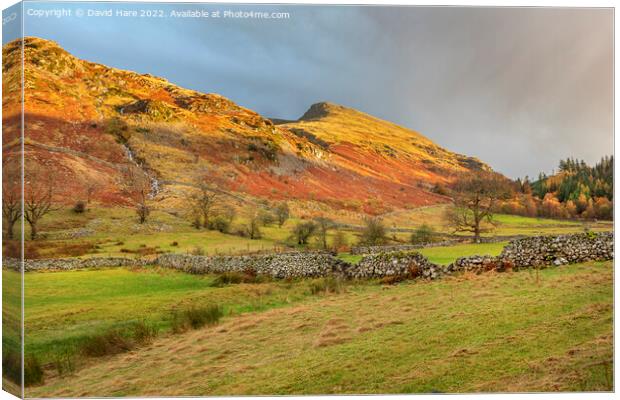 Cumbrian Hillsides Canvas Print by David Hare