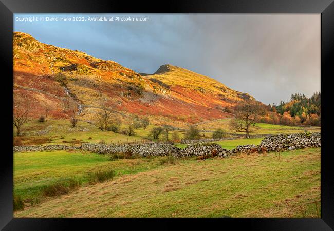 Cumbrian Hillsides Framed Print by David Hare