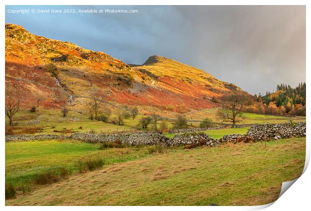 Cumbrian Hillsides Print by David Hare