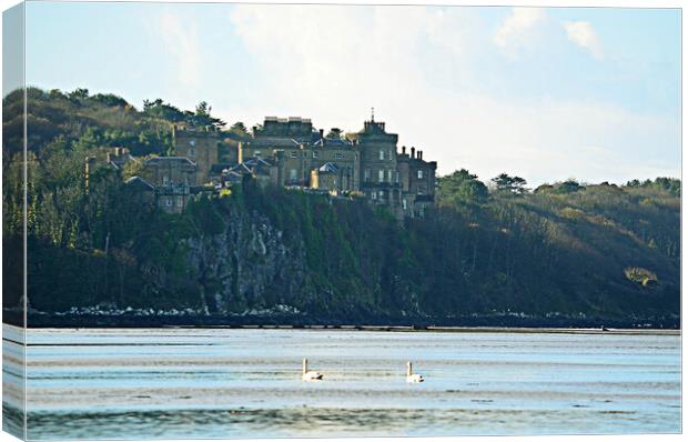 Culzzean castle and swans Canvas Print by Allan Durward Photography