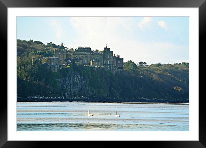 Culzzean castle and swans Framed Mounted Print by Allan Durward Photography