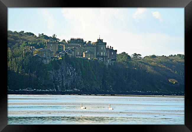 Culzzean castle and swans Framed Print by Allan Durward Photography