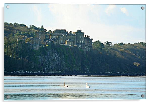 Culzzean castle and swans Acrylic by Allan Durward Photography