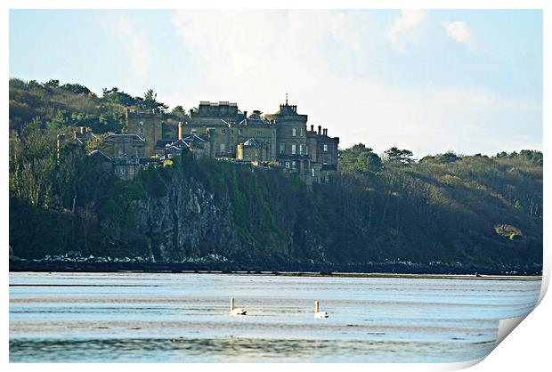 Culzzean castle and swans Print by Allan Durward Photography