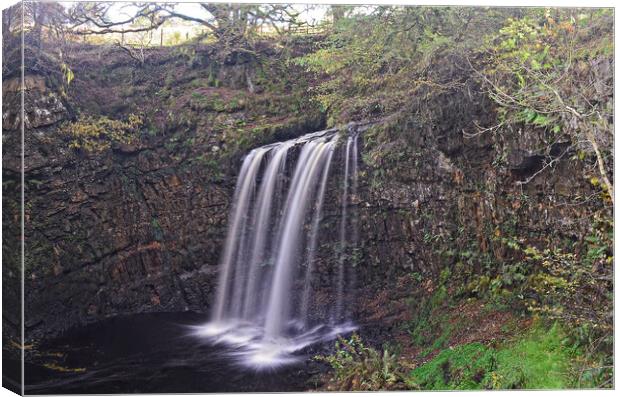 Dalcairney waterfall Dalmellington East Ayrshire Canvas Print by Allan Durward Photography
