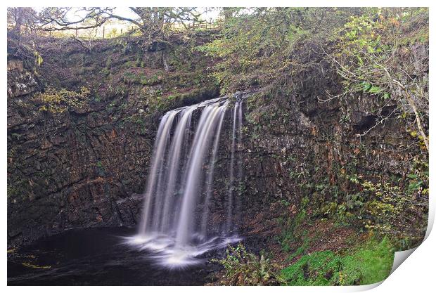 Dalcairney waterfall Dalmellington East Ayrshire Print by Allan Durward Photography