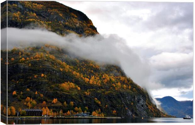 Aurlandsfjord Flam Norwegian Fjord Norway Canvas Print by Andy Evans Photos