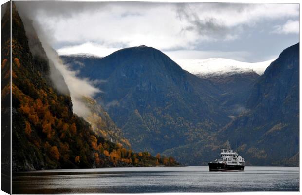 Aurlandsfjord Flam Norwegian Fjord Norway Canvas Print by Andy Evans Photos