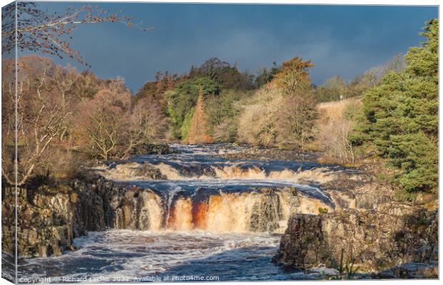 Low Force Waterfall Nov 2022 Canvas Print by Richard Laidler