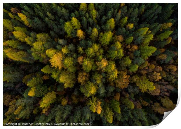 Beautiful autumn colours in the Scottish Highlands Print by Jonathan Mitchell