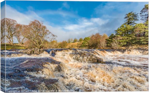 River Tees above Low Force  Canvas Print by Richard Laidler