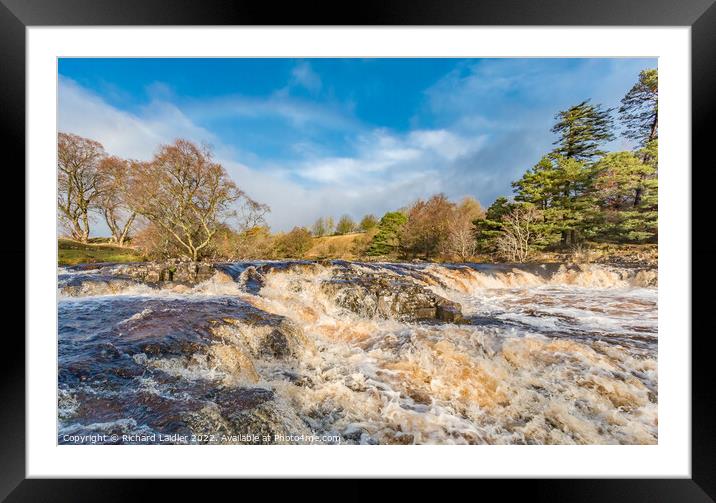 River Tees above Low Force  Framed Mounted Print by Richard Laidler