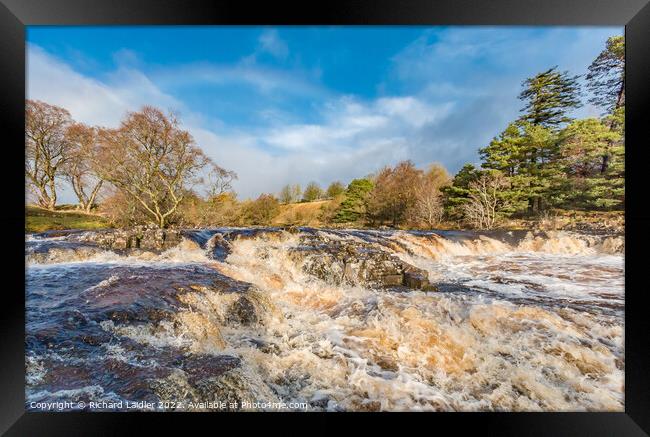 River Tees above Low Force  Framed Print by Richard Laidler
