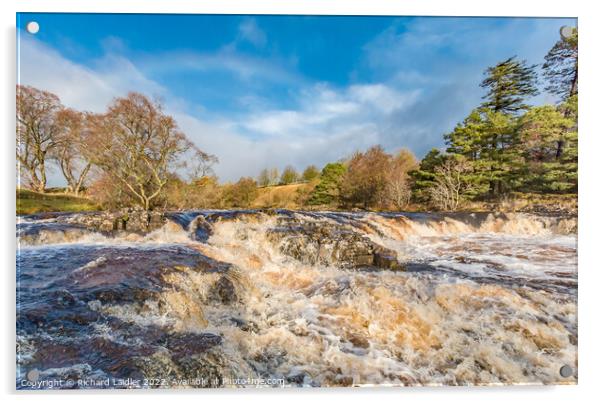 River Tees above Low Force  Acrylic by Richard Laidler