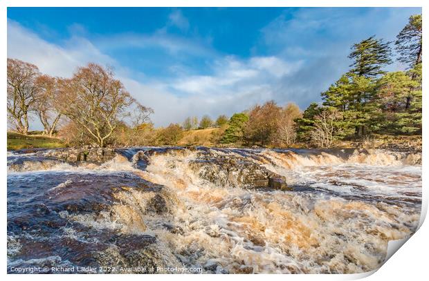 River Tees above Low Force  Print by Richard Laidler
