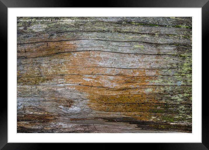 There is beauty in natures rotting wood Framed Mounted Print by Kevin White