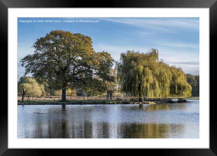 View across Heron pond Bushy Park Framed Mounted Print by Kevin White
