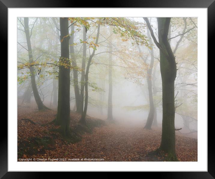 Black Down in Fog Framed Mounted Print by Chester Tugwell