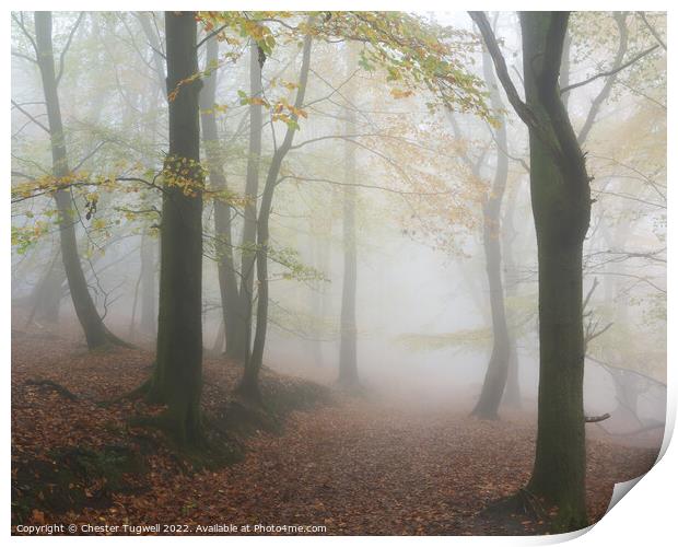 Black Down in Fog Print by Chester Tugwell