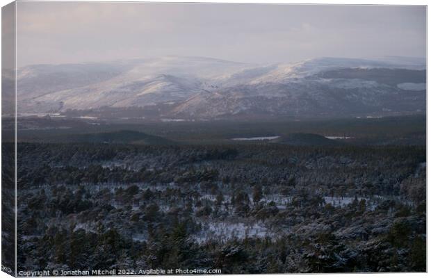 Glenmore Forest Park, Cairngorms, Scotland, 2019 Canvas Print by Jonathan Mitchell