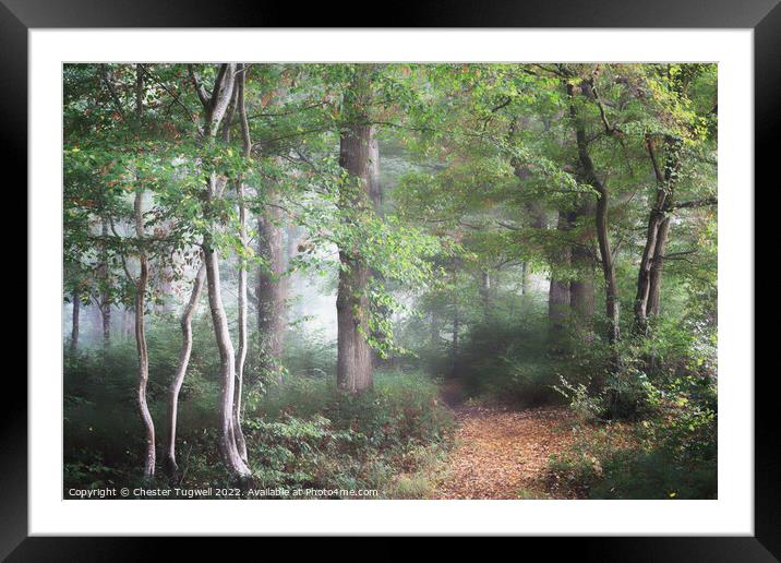 Autumnal Scene - English Wood Framed Mounted Print by Chester Tugwell