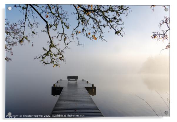 Lake Windermere - Pullwood Bay Estate Acrylic by Chester Tugwell