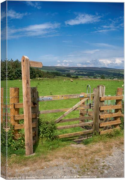 Discover the Serene Path to Castle Bolton Canvas Print by Rodney Hutchinson