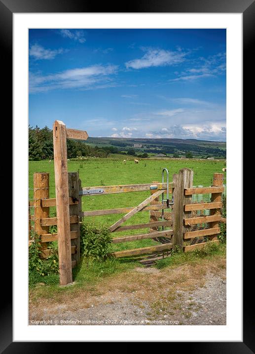 Discover the Serene Path to Castle Bolton Framed Mounted Print by Rodney Hutchinson