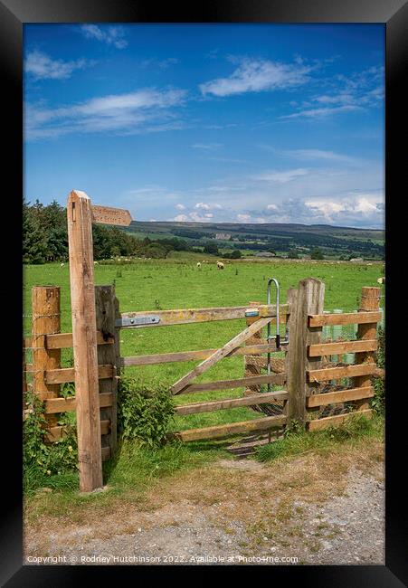 Discover the Serene Path to Castle Bolton Framed Print by Rodney Hutchinson