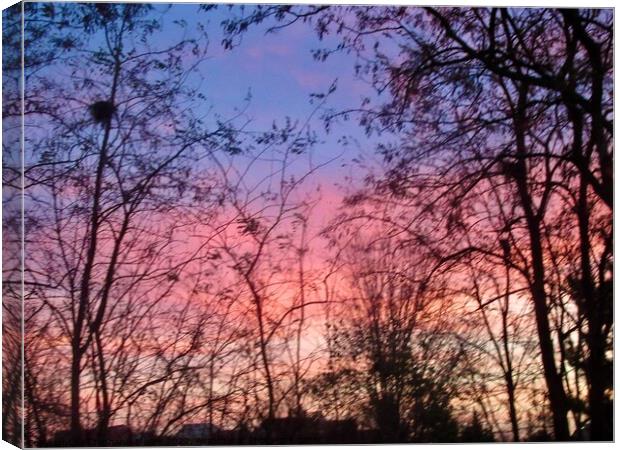 Winter Sunset Canvas Print by Stephanie Moore