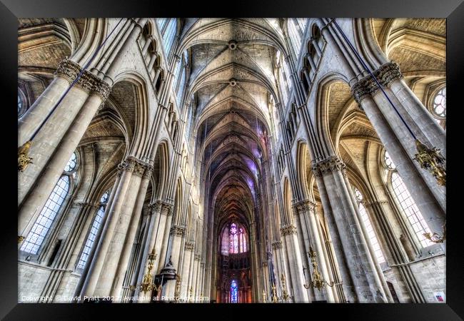 Notre Dame Cathedral Reims  Framed Print by David Pyatt