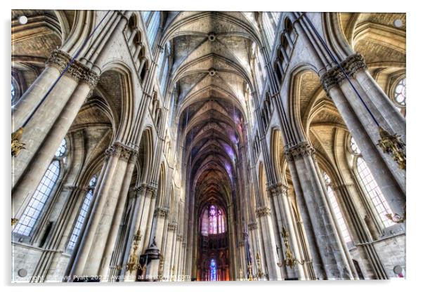 Notre Dame Cathedral Reims  Acrylic by David Pyatt
