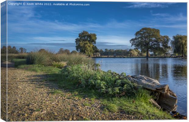 Model boat pond Bushy Park Canvas Print by Kevin White