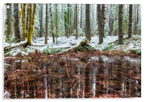 Winter Woods Reflection in a Pool of Leaves Acrylic by Belinda Greb