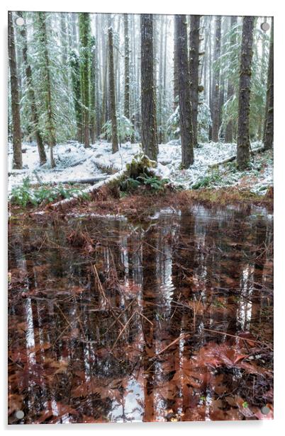 Winter Woods Reflection in a Pool of Leaves, Vertical Acrylic by Belinda Greb