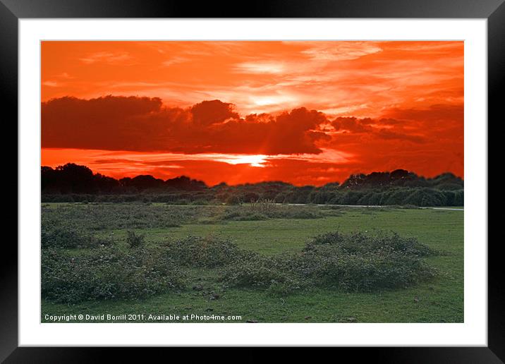 Sun-set over the New Forest Framed Mounted Print by David Borrill