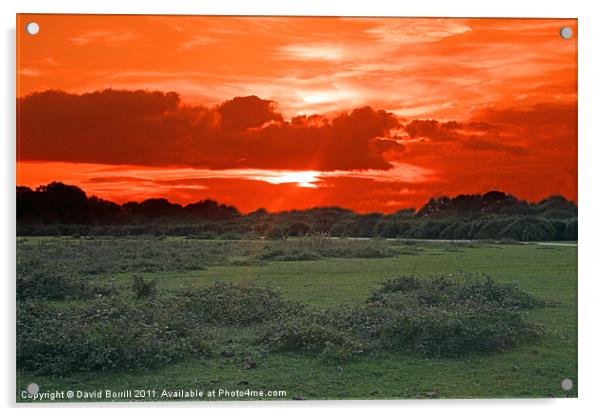 Sun-set over the New Forest Acrylic by David Borrill