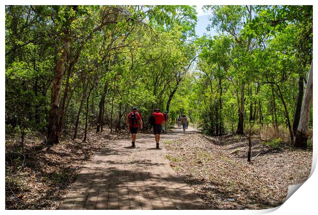 Kakadu Burrungkuy (Nourlangie) Track Print by Antonio Ribeiro