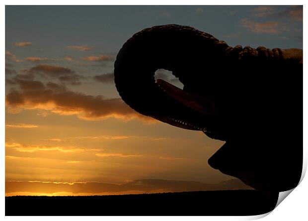 Majestic Elephant Silhouetted in African Sunset Print by Jonathan Pankhurst