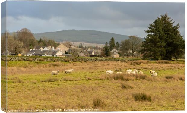 A flock of sheep in a Scottish field beside the town of Carsphairn, Scotland Canvas Print by SnapT Photography