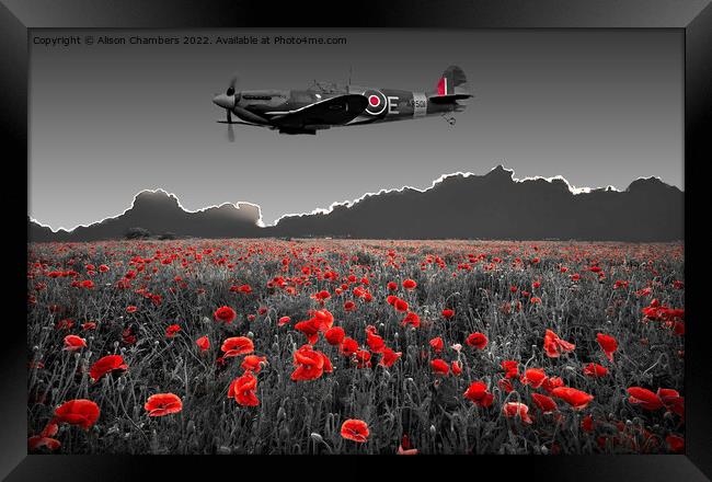 Spitfire Poppy Field Framed Print by Alison Chambers