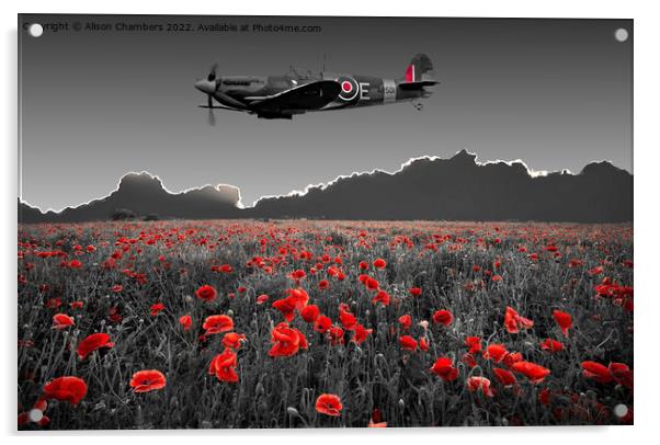 Spitfire Poppy Field Acrylic by Alison Chambers