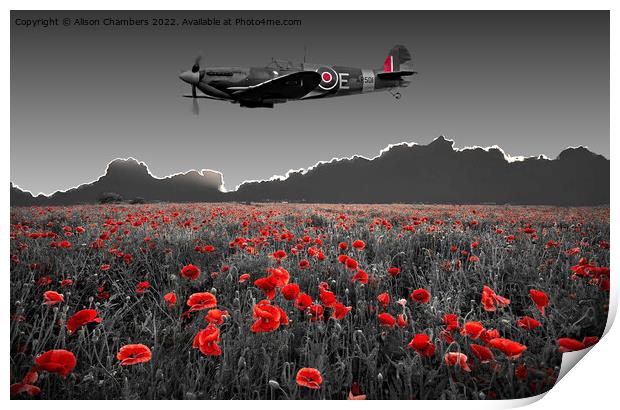 Spitfire Poppy Field Print by Alison Chambers